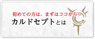 初めての方は、まずはココから！ カルドセプトとは