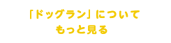 「ドッグラン」についてもっと見る