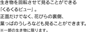 ]Č邱Ƃłu邭r[vBʂłȂAԂт̗Atς̂Ȃǂ邱Ƃł܂Bꕔ̐Ɍ܂B
