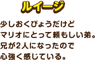 ルイージ / 少しおくびょうだけどマリオにとって頼もしい弟。兄が2人になったので心強く感じている。