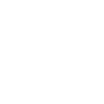 キングテレサのはこんでライトバトル