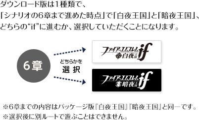 ダウンロード版は1種類で、「シナリオの6章まで進めた時点」で「白夜王国」と「暗夜王国」、どちらの“if”に進むか、選択していただくことになります。※6章までの内容はパッケージ版『白夜王国』『暗夜王国』と同一です。※選択後に別ルートで遊ぶことはできません。