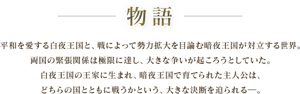 物語 / 平和を愛する白夜王国と、戦によって勢力拡大を目論む暗夜王国が対立する世界。両国の緊張関係は極限に達し、大きな争いが起ころうとしていた。白夜王国の王家に生まれ、暗夜王国で育てられた主人公は、どちらの国とともに戦うかという、大きな決断を迫られる―。