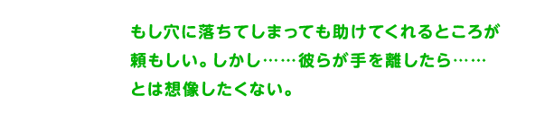 羽ピクミン