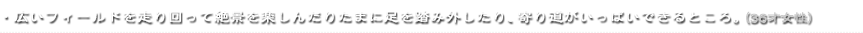 ・広いフィールドを走り回って絶景を楽しんだりたまに足を踏み外したり、寄り道がいっぱいできるところ。（36才女性）