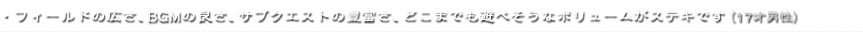 ・フィールドの広さ、BGMの良さ、サブクエストの豊富さ、どこまでも遊べそうなボリュームがステキです（17才男性）