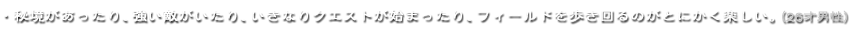 ・秘境があったり、強い敵がいたり、いきなりクエストが始まったり、フィールドを歩き回るのがとにかく楽しい。（26才男性）