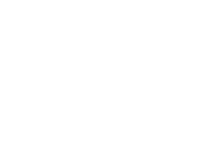 ベヨネッタと同等の戦闘スタイルと魔力を操る、謎を秘めた女。行く先々で姿を現し、冷たく刺すような視線でベヨネッタを挑発する。ベヨネッタの過去にまつわる謎について何らかの情報を握っているようだが、その正体、目的は不明。漆黒の四丁拳銃を愛用し、正確な狙いで確実にベヨネッタを追い詰める。