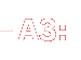 A3