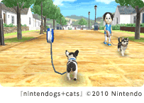 nintendogs+cats