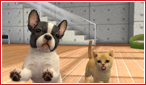 nintendogs + cats