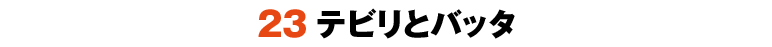 23テビリとバッタ
