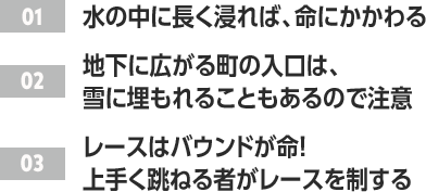 ［01］水の中に長く浸れば、命にかかわる /［02］地下に広がる町の入口は、雪に埋もれることもあるので注意 /［03］レースはバウンドが命！上手く跳ねる者がレースを制する