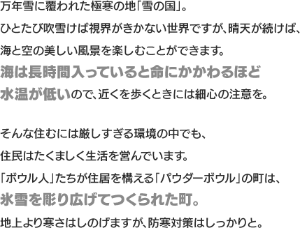 万年雪に覆われた極寒の地「雪の国」。ひとたび吹雪けば視界がきかない世界ですが、晴天が続けば、海と空の美しい風景を楽しむことができます。海は長時間入っていると命にかかわるほど水温が低いので、近くを歩くときには細心の注意を。そんな住むには厳しすぎる環境の中でも、住民はたくましく生活を営んでいます。「ボウル人」たちが住居を構える「パウダーボウル」の町は、氷雪を彫り広げてつくられた町。地上より寒さはしのげますが、防寒対策はしっかりと。