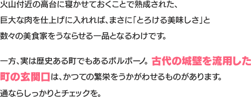 火山付近の高台に寝かせておくことで熟成された、巨大な肉を仕上げに入れれば、まさに「とろける美味しさ」と数々の美食家をうならせる一品となるわけです。一方、実は歴史ある町でもあるボルボーノ。古代の城壁を流用した町の玄関口は、かつての繁栄をうかがわせるものがあります。通ならしっかりとチェックを。