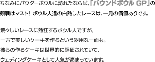 ちなみにパウダーボウルに訪れたならば、「バウンドボウルGP」の観戦はマスト！ボウル人達の白熱したレースは、一見の価値ありです。荒々しいレースに熱狂するボウル人ですが、一方で美しいケーキを作るという器用な一面も。彼らの作るケーキは世界的に評価されていて、ウェディングケーキとして人気が高まっています。