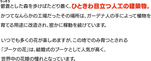 鬱蒼とした森を歩けばたどり着く、ひときわ目立つ人工の建築物。かつてなんらかの工場だったその場所は、ガーデナ人の手によって植物を育てる用途に改造され、密かに稼動を続けています。いつでも多くの花が楽しめますが、この地でのみ育つとされる「ブーケの花」は、結婚式のブーケとして人気が高く、世界中の花嫁の憧れとなっています。