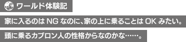 【ワールド体験記】家に入るのはNGなのに、家の上に乗ることはOKみたい。頭に乗るカブロン人の性格からなのかな……。