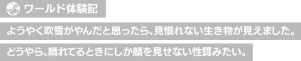 【ワールド体験記】ようやく吹雪がやんだと思ったら、見慣れない生き物が見えました。どうやら、晴れてるときにしか顔を見せない性質みたい。