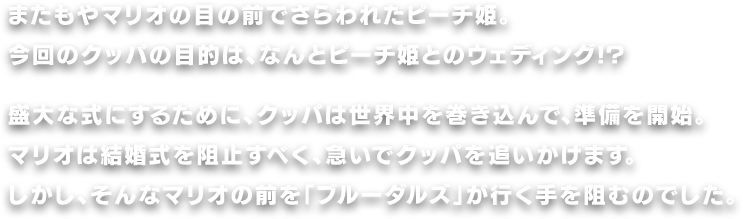 またもやマリオの目の前でさらわれたピーチ姫。今回のクッパの目的は、なんとピーチ姫とのウェディング!?　盛大な式にするために、クッパは世界中を巻き込んで、準備を開始。マリオは結婚式を阻止すべく、急いでクッパを追いかけます。しかし、そんなマリオの前に「ブルーダルズ」が行く手を阻むのでした。