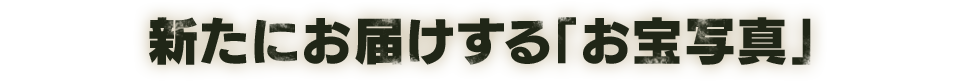 新たにお届けする「お宝写真」