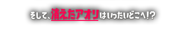 そして、消えたアオリはいったいどこへ！？