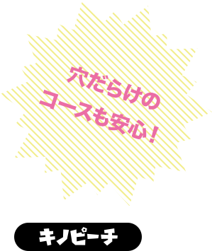 キノピーチ　穴だらけのコースも安心！