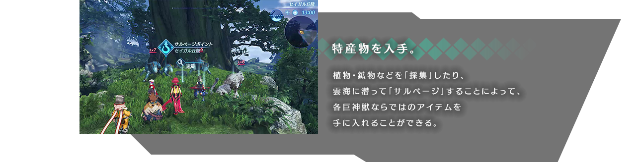 特産物を入手。 植物・鉱物などを「採集」したり、雲海に潜って「サルベージ」することによって、各巨神獣ならではのアイテムを手に入れることができる。