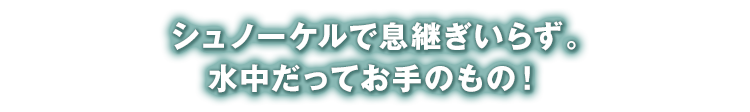 シュノーケルで息継ぎいらず。水中だってお手のもの！