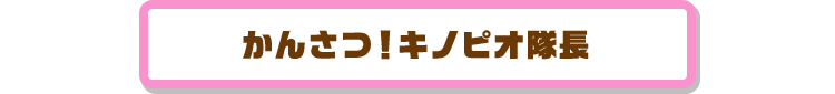 かんさつ！キノピオ隊長