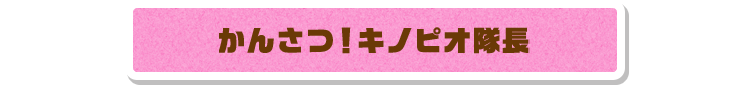 かんさつ！キノピオ隊長