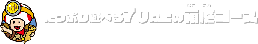 たっぷり遊べる70以上の箱庭コース