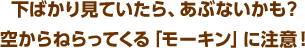 下ばかり見ていたら、あぶないかも？空からねらってくる「モーキン」に注意！