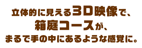 立体的に見える3D映像で、箱庭コースが、まるで手の中にあるような感覚に。