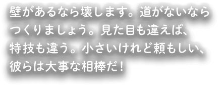 壁があるなら壊します。道がないならつくりましょう。見た目も違えば、特技も違う。小さいけれどたのもしい、彼らは大事な相棒だ！