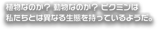 植物なのか？動物なのか？ピクミンは私たちとは異なる生態を持っているようだ。