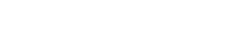 『ピクミン４』を楽しんでいるあなたへ。「ダンドリ」上手になってもっと楽しむためのコツをお届けします。