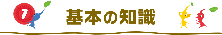 基本の知識