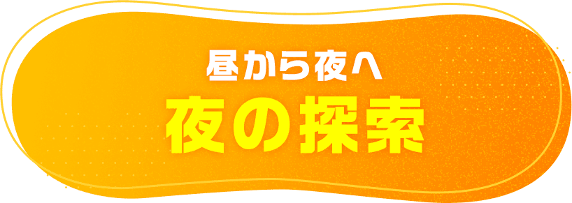 昼から夜へ 夜の探索