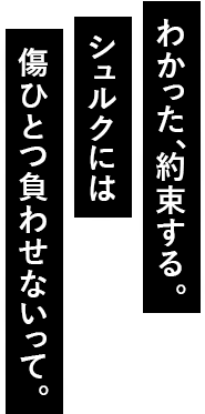 わかった、約束する。シュルクには傷ひとつ負わせないって。