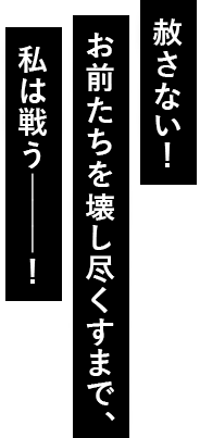 赦さない！お前たちを壊し尽くすまで、私は戦う―――！