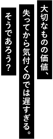 大切なものの価値、失ってから気付くのでは遅すぎる。そうであろう？