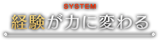 SYSTEM 経験が力に変わる