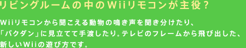 rO[̒WiiRHWiiR畷铮̖𕷂AuoN_vɌĂĎnBer̃t[яoAVWii̗VѕłB