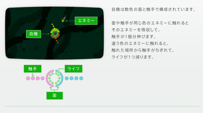 自機は数色の面と触手で構成されています。面や触手が同じ色のエネミーに触れるとそのエネミーを吸収して、触手が1個分伸びます。違う色のエネミーに触れると、触れた場所から触手がちぎれて、ライフが1つ減ります。