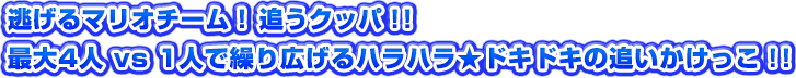 逃げるマリオチーム！追うクッパ！！最大4人vs1人で繰り広げるハラハラ★ドキドキの追いかけっこ！！