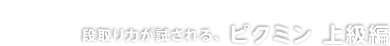 i͂AsN~ ㋉