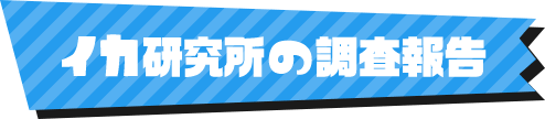 イカ研究所の調査報告