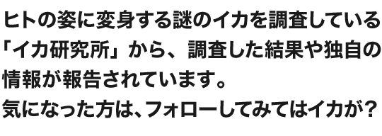 ヒトの姿に変身する謎のイカを調査している「イカ研究所」から、調査した結果や独自の情報が報告されています。 気になった方は、フォローしてみてはイカが？