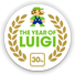 THE YEAR OF LUIGI